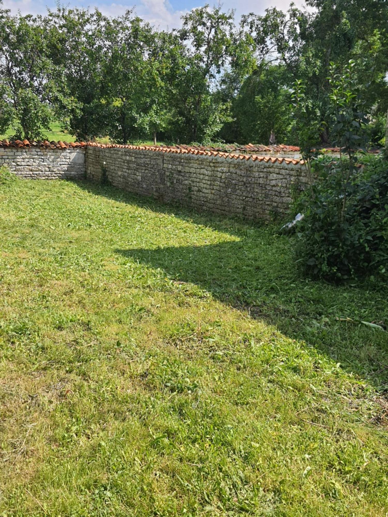 Barbezieres Domi Et Les Chats المظهر الخارجي الصورة